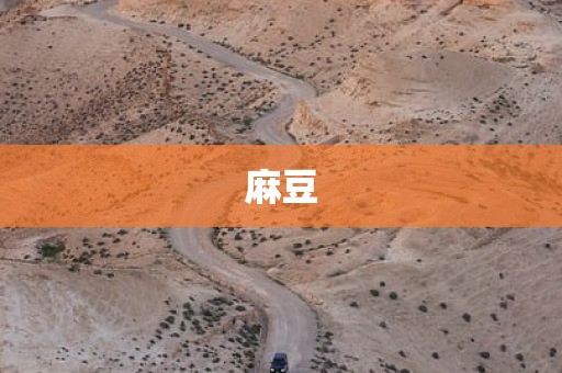 麻豆