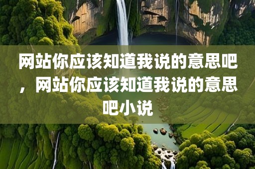 网站你应该知道我说的意思吧，网站你应该知道我说的意思吧小说