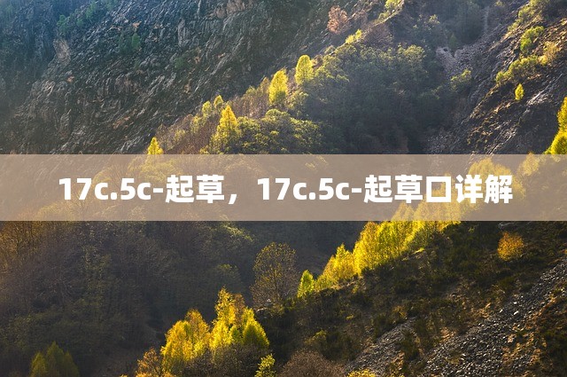 17c.5c-起草，17c.5c-起草口详解