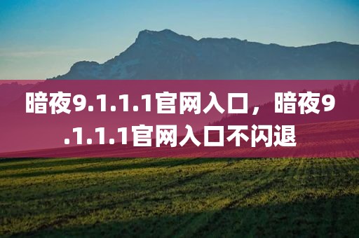 暗夜9.1.1.1官网入口，暗夜9.1.1.1官网入口不闪退
