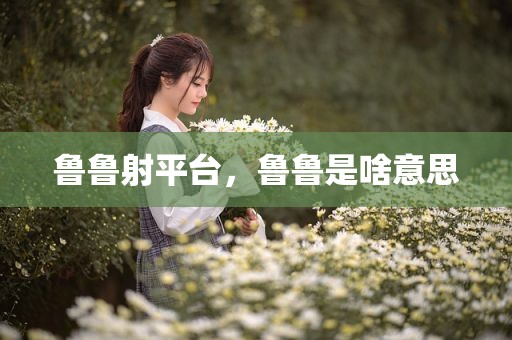 鲁鲁射平台，鲁鲁是啥意思