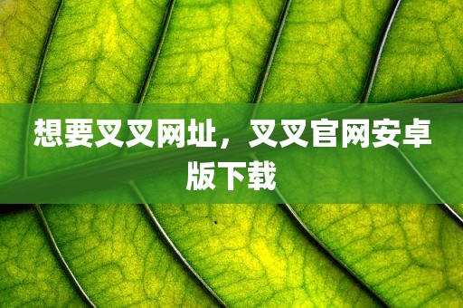 想要叉叉网址，叉叉官网安卓版下载