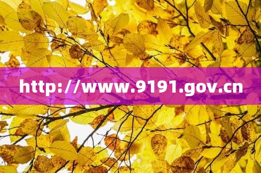 http://www.9191.gov.cn