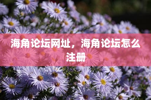 海角论坛网址，海角论坛怎么注册