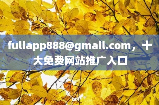 fuliapp888@gmail.com，十大免费网站推广入口