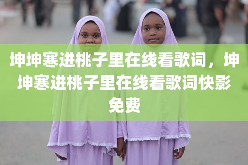 坤坤寒进桃子里在线看歌词，坤坤寒进桃子里在线看歌词快影免费