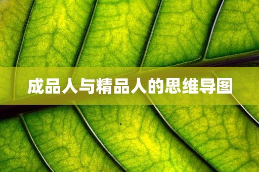 成品人与精品人的思维导图