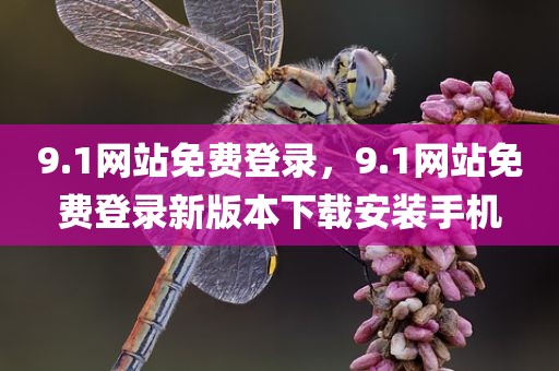 9.1网站免费登录，9.1网站免费登录新版本下载安装手机