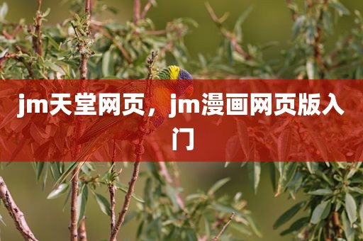 jm天堂网页，jm漫画网页版入门