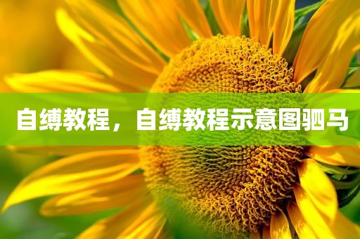 自缚教程，自缚教程示意图驷马
