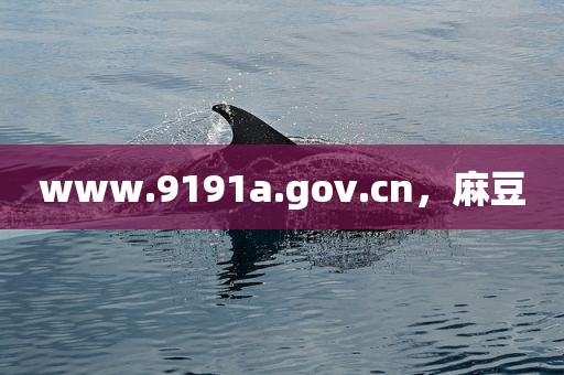 www.9191a.gov.cn，麻豆