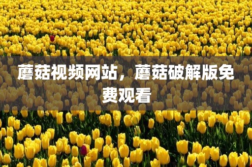 蘑菇视频网站，蘑菇破解版免费观看