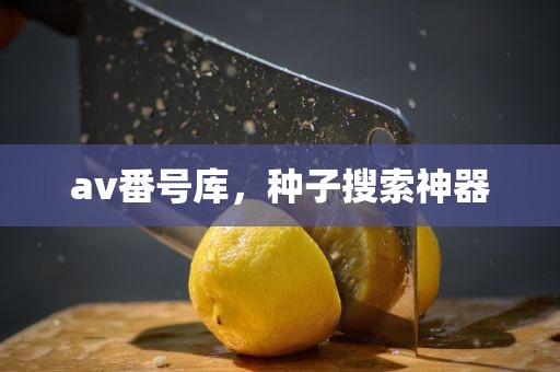 av番号库，种子搜索神器