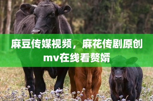 麻豆传媒视频，麻花传剧原创mv在线看赘婿