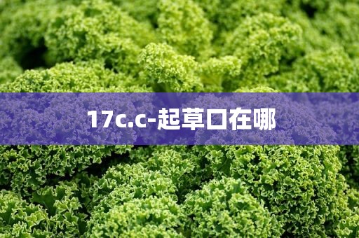 17c.c-起草口在哪