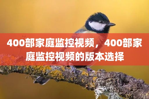 400部家庭监控视频，400部家庭监控视频的版本选择
