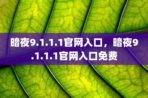 暗夜9.1.1.1官网入口，暗夜9.1.1.1官网入口免费