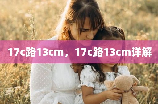 17c路13cm，17c路13cm详解