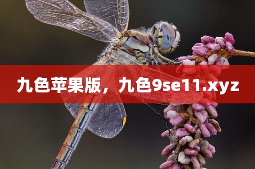 九色苹果版，九色9se11.xyz