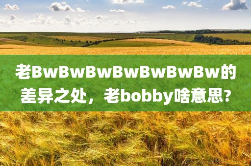老BwBwBwBwBwBwBw的差异之处，老bobby啥意思?