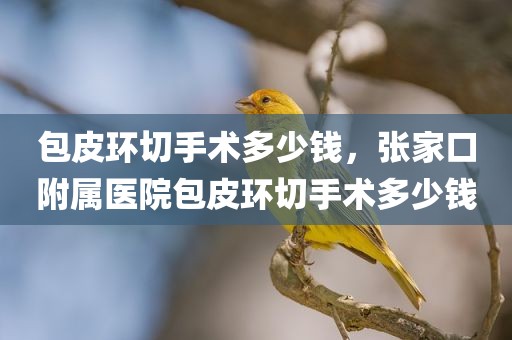 包皮环切手术多少钱，张家口附属医院包皮环切手术多少钱