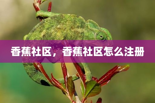 香蕉社区，香蕉社区怎么注册