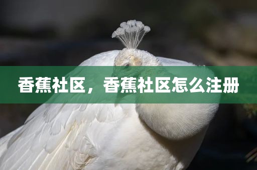 香蕉社区，香蕉社区怎么注册