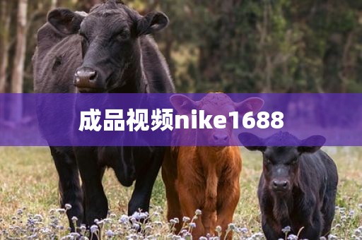 成品视频nike1688