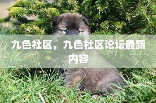 九色社区，九色社区论坛最新内容