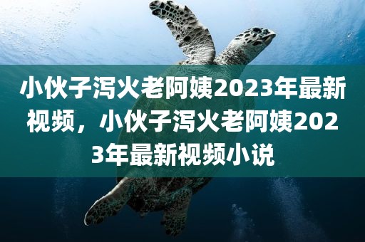 小伙子泻火老阿姨2023年最新视频，小伙子泻火老阿姨2023年最新视频小说