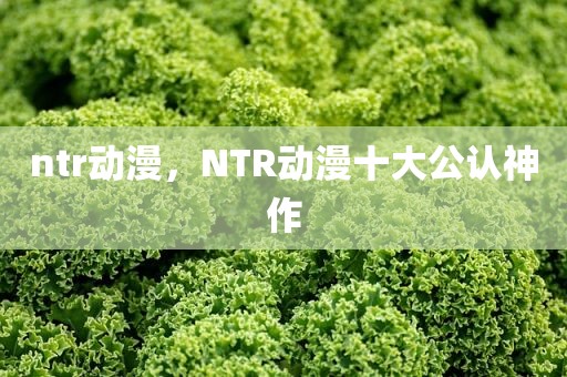 ntr动漫，NTR动漫十大公认神作