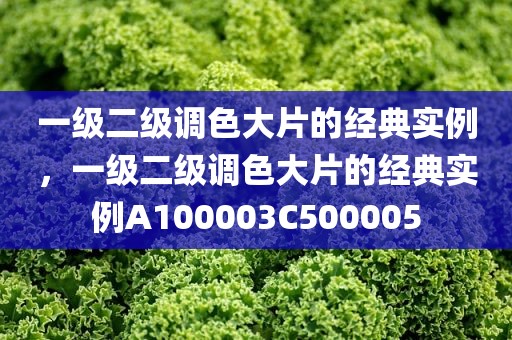 一级二级调色大片的经典实例，一级二级调色大片的经典实例A100003C500005