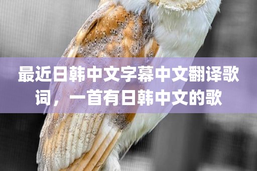 最近日韩中文字幕中文翻译歌词，一首有日韩中文的歌
