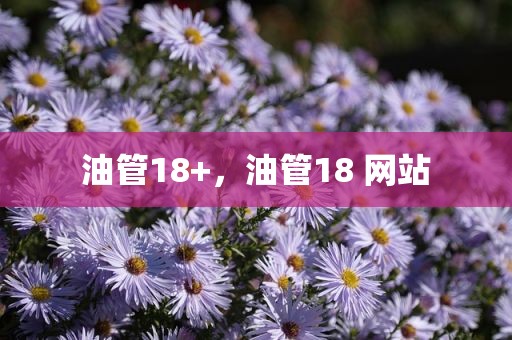 油管18+，油管18 网站