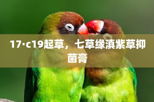 17·c19起草，七草缘滇紫草抑菌膏