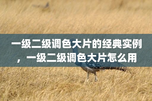 一级二级调色大片的经典实例，一级二级调色大片怎么用