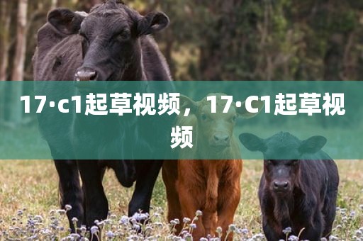 17·c1起草视频，17·C1起草视频