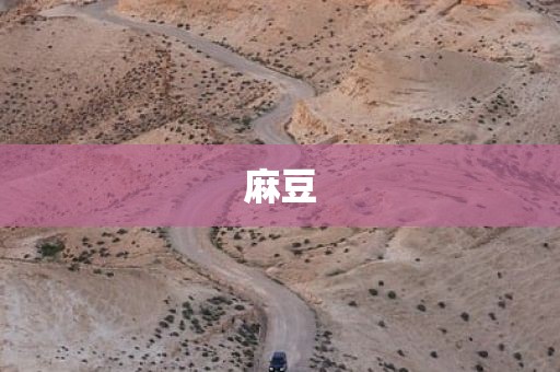 麻豆