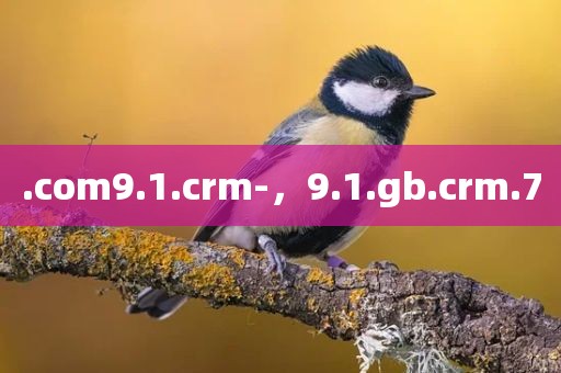 .com9.1.crm-，9.1.gb.crm.7