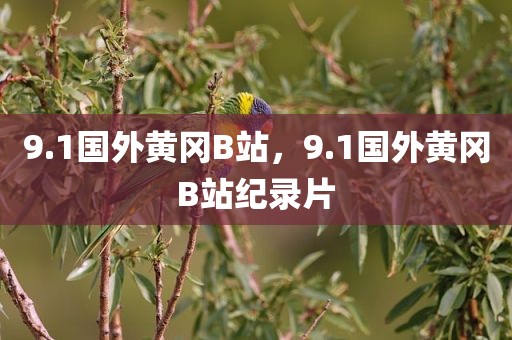 9.1国外黄冈B站，9.1国外黄冈B站纪录片