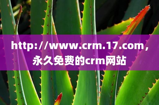 http://www.crm.17.com，永久免费的crm网站