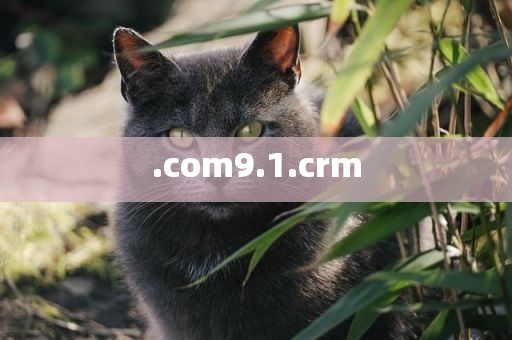 .com9.1.crm