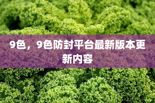 9色，9色防封平台最新版本更新内容