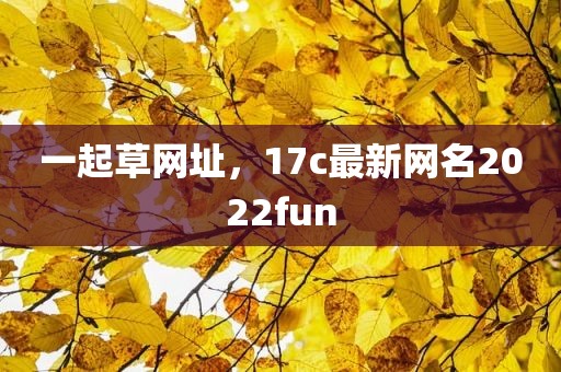 一起草网址，17c最新网名2022fun