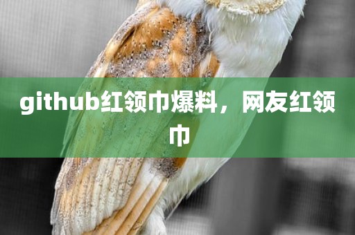 github红领巾爆料，网友红领巾