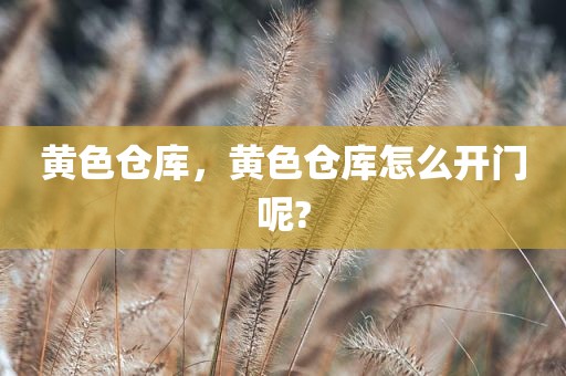 黄色仓库，黄色仓库怎么开门呢?