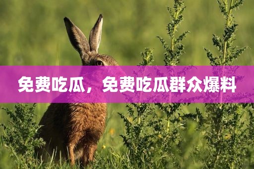 免费吃瓜，免费吃瓜群众爆料