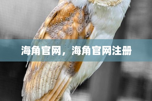 海角官网，海角官网注册