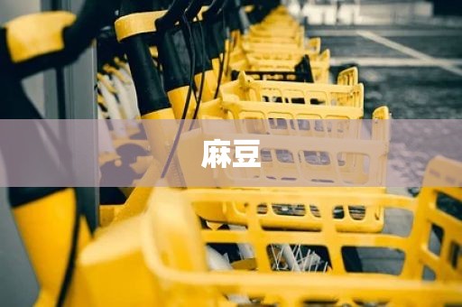 麻豆