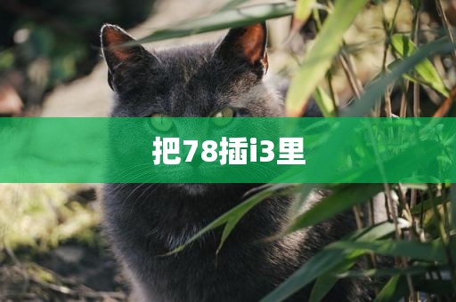 把78插i3里